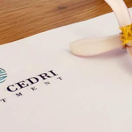 Domus Cedri Apartment Santa Maria Del Cedro Zewnętrze zdjęcie