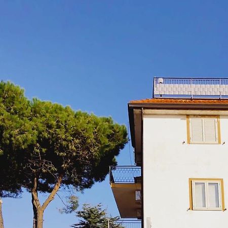 Domus Cedri Apartment Santa Maria Del Cedro Zewnętrze zdjęcie