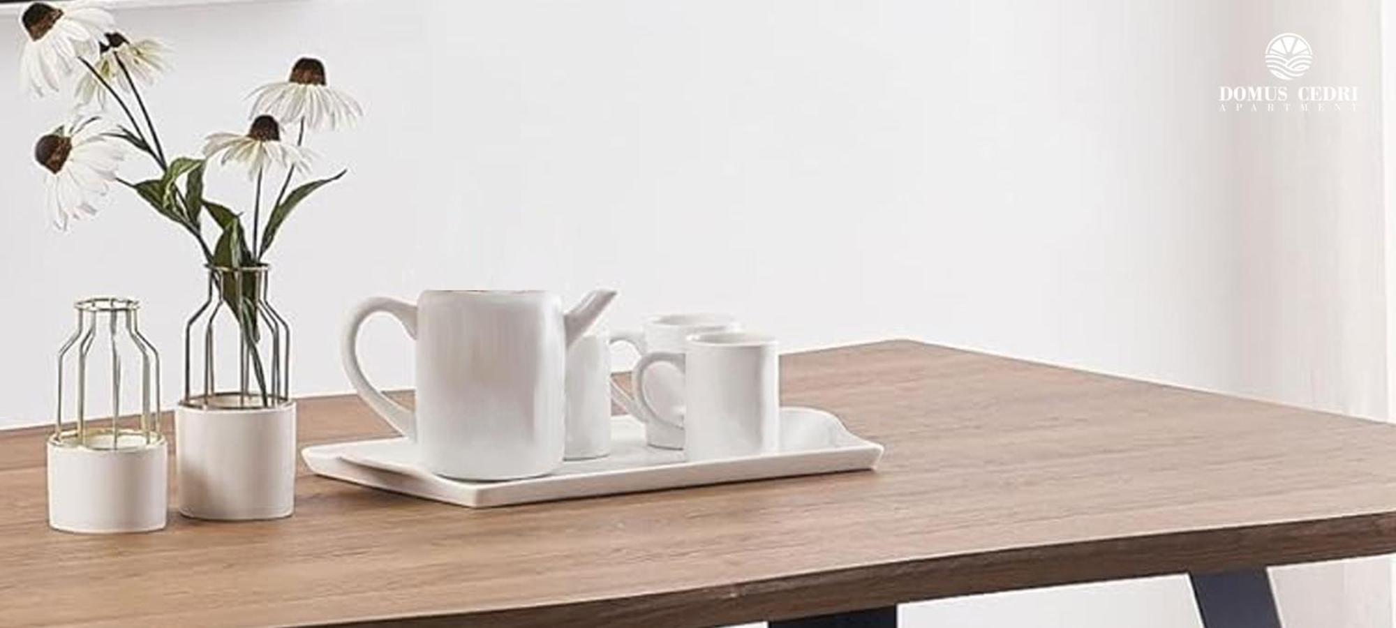 Domus Cedri Apartment Santa Maria Del Cedro Zewnętrze zdjęcie