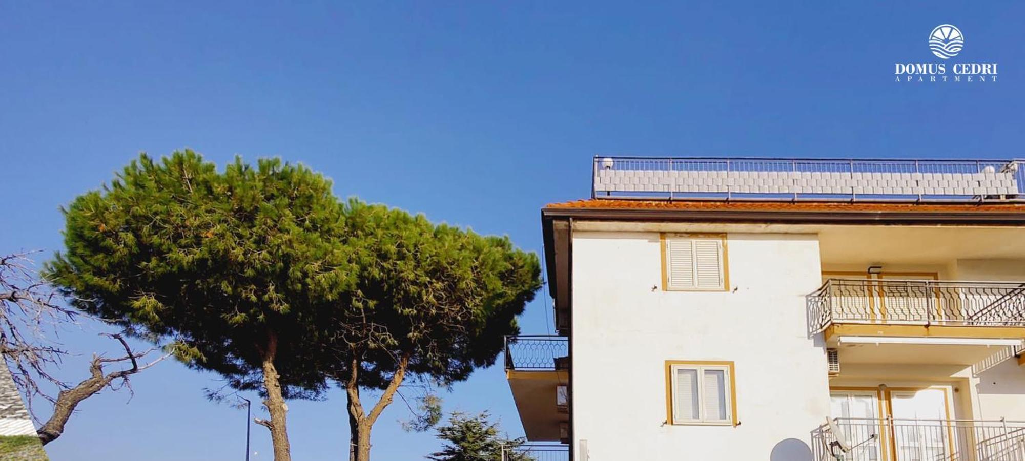 Domus Cedri Apartment Santa Maria Del Cedro Zewnętrze zdjęcie